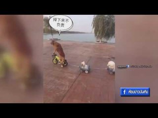 คลิปสุดฟิน : นักปั่นน่องเหล็ก OA 17-01-60