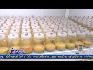 เศรษฐี 4.0 ตอน เห็ดถังเช่า | ข่าวเวิร์คพอยท์ | 21 ธ.ค. 59