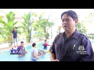 สวนนงนุชพัทยานำ “พังฟ้าแจ่ม”ทำธาราบำบัด | ข่าวเวิร์คพอยท์ | 27 ธ.ค. 59