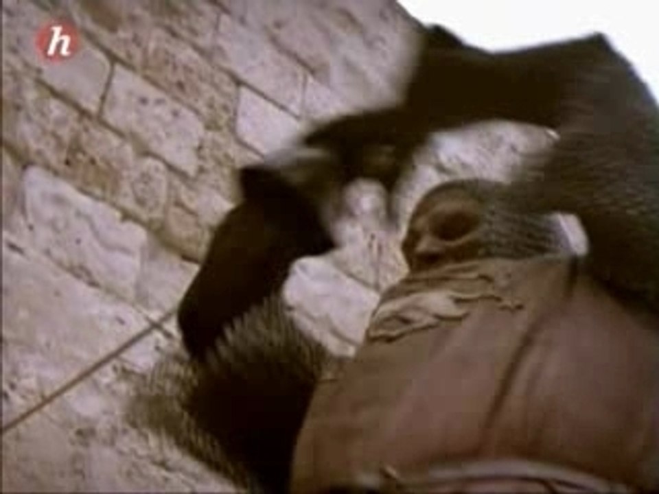 Richard et Saladin,la conquête de Jerusalem 4/8