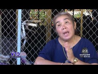 พยานปากเอกคดีครูจอมทรัพย์ ยืนยันคนขับกระบะเป็นผู้ชายl ข่าวเวิร์คพอยท์ (ดึก) 18 ม.ค.60