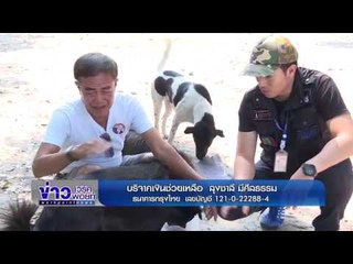 รายงานพิเศษ : '' ลุงชาลี '' หนุ่มใหญ่ใจบุญ  ชีวิตนี้เพื่อน้องหมา | ข่าวเวิร์คพอยท์ | 3 ก.พ. 2560