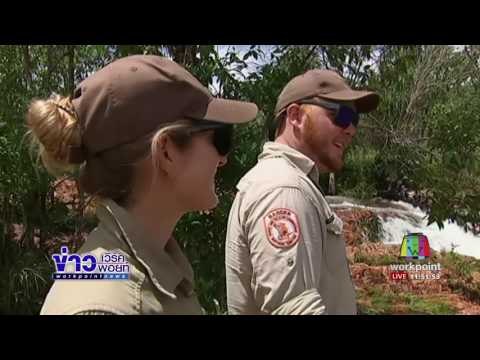น้ำฝนเปลี่ยนทัศนียภาพอุทยานออสเตรเลีย l ข่าวเวิร์คพอยท์ (เที่ยง) l 09 ก.พ.60