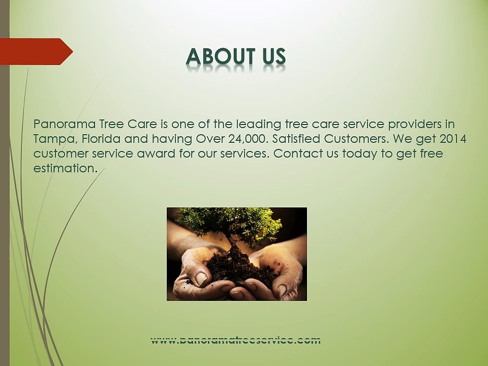 Tree Services in Tampa - Panorama Tree Care