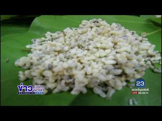 แล้งหนักไข่มดแดงหายากราคาแพงกิโลกรัมละพันบาทl ข่าวเวิร์คพอยท์ (เช้า) l 31 ม.ค.60