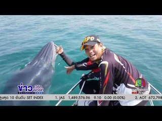 พบวาฬบลูด้าว่ายโชว์รอบเรือ l ข่าวเวิร์คพอยท์ (เที่ยง) l 2 ก.พ.60