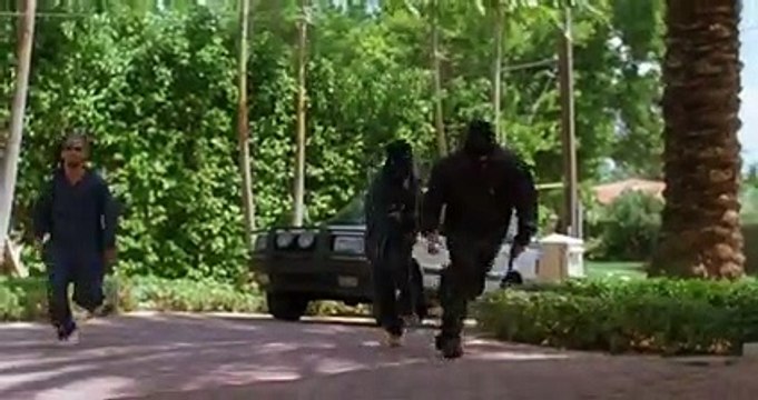 Shottas FRANÇAİS Pt 02