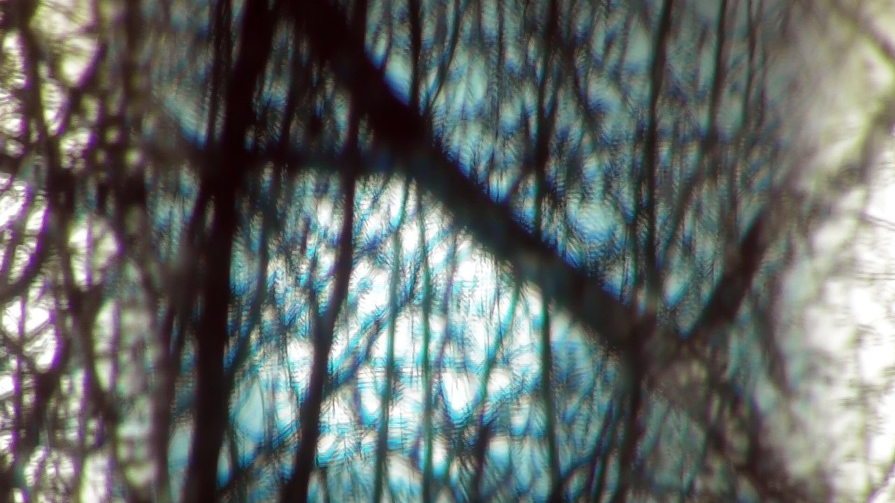 March 19 2017 DL3