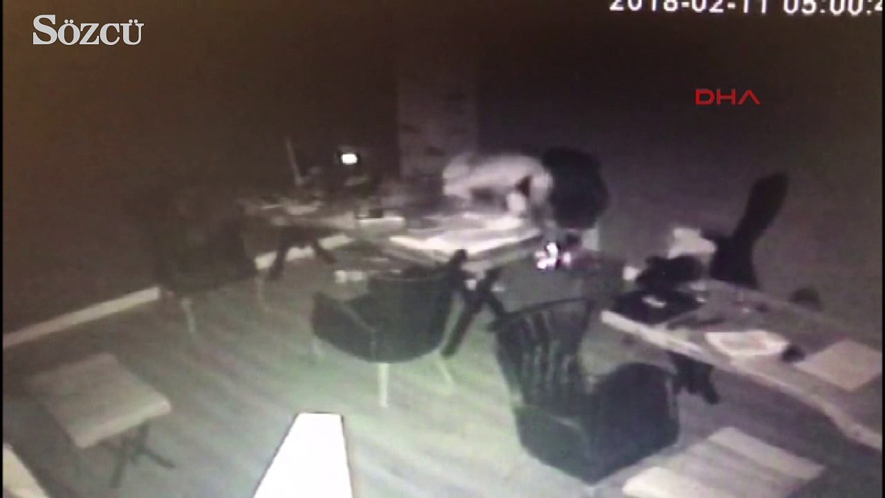 Güvenlik kamerasına takılan sürünen hırsızlar polis çıktı