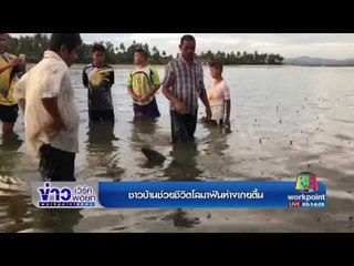 ชาวบ้านช่วยชีวิตโลมาฟันห่างเกยตื้น |ข่าวเวิร์คพอยท์| 26 มิ.ย.60
