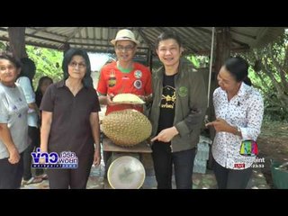 นนท. ตื่นทุเรียนหมอนทองไซส์ยักษ์หนัก 13 กก. | ข่าวเวิร์คพอยท์ | 3 ก.ค. 60