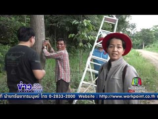 จนท.ติดตั้งกล้องสัญญาณป้องกันช้างป่าบุกพืชไร่ l ข่าวเวิร์คพอยท์ l 30 มิ.ย.60