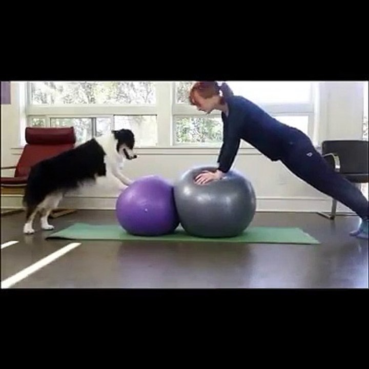 VID-20180225-WA0003