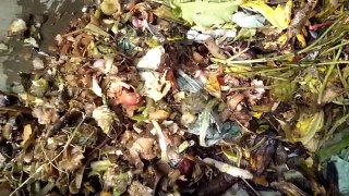 How to make organic fertilizer with house waste in hindi