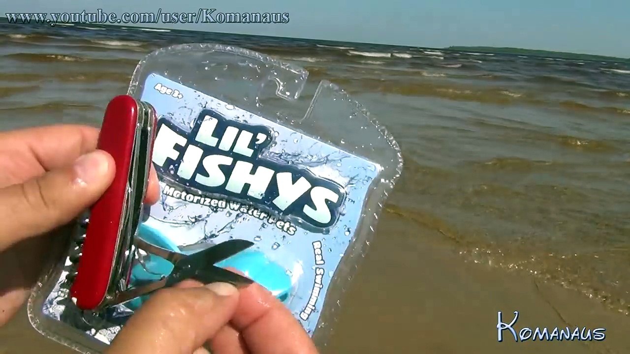 lil fishys motorized water pets