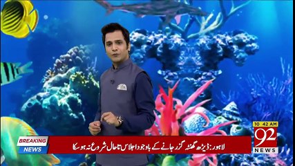 First Pakistani underwater photographer and Cave Diver