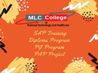 SAP E Training - Study Abroad Program - MLC College Canada