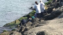 Samsun'da Dehşet! Kolları, Bacakları ve Başı Olmayan Kadın Cesedi Kıyıya Vurdu