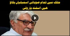 All provincial assemblies are sell-outs: Asfandyar Wali