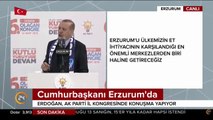 Erzurum Hz. Ömer zamanından beri gaza şehri olmuştur