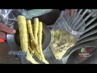 ข่าวแก้จน ปลูกไผ่เลี้ยงหวานแซมสวนยาง l ข่าวเวิร์คพอยท์ l 19 ก.ค.60