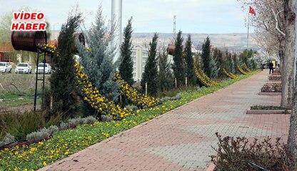 (16 Mart 2018) BAHAR, BÜYÜKŞEHİR’LE GÜZEL KAYSERİ ADETA ÇİÇEK BAHÇESİNE DÖNÜŞTÜ