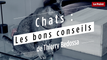 Chats : les bons conseils de Thierry Bedossa