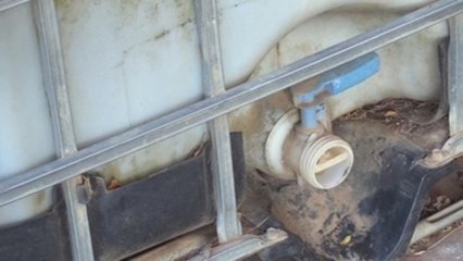 La vida con 50 litros de agua de los inmigrantes españoles en Ciudad del Cabo