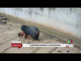 ระทึก!หมีควายกัดคน อาการปางตาย | บรรจงชงข่าว | 2 ส.ค. 60