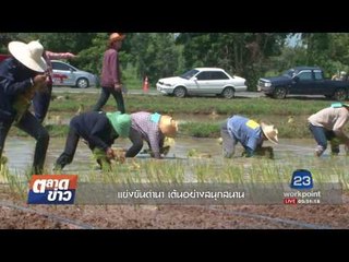 แข่งขันดำนา เต้นอย่างสนุกสนาน l ตลาดข่าว l 10 ส.ค.60