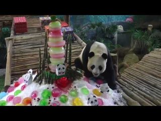 ‘ช่วงช่วง’ ช่วยน้ำท่วม พร้อมฉลองวันเกิดครบ 17 ปี