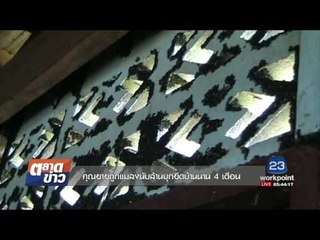 คุณยายถูกแมลงนับล้านบุกยึดบ้านนาน 4 เดือน l ตลาดข่าว l 7 ส.ค.60