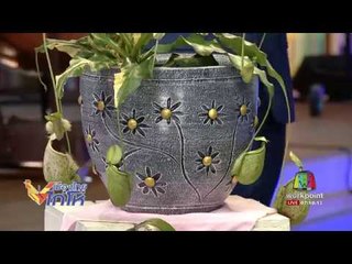 ต้นหม้อข้าวหม้อแกงลิงสุดแพง 3 แสนบาท l เมืองไทย ไก่โห่ l 14 ส.ค.60