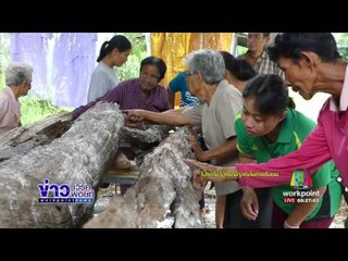 แห่ขอเลขเด็ดตะเคียนสามพี่น้องโผล่คลองระบายน้ำ |ข่าวเวิร์คพอยท์| 10 ส.ค.60