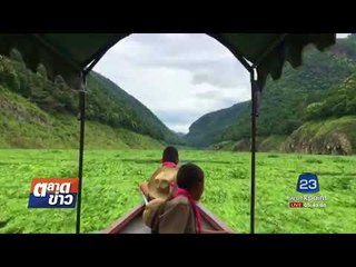 คลิปเด็กนั่งเรือฝ่าดงผักตบชวา 5 ชม. เพื่อมาเรียน | ตลาดข่าว | 18 ส.ค. 60