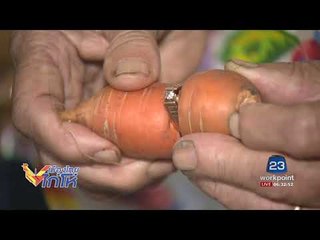 แหวนหมั้นหายไป 13 ปี พบอยู่บนแครอทในสวน | เมืองไทยไก่โห่ | 18 ส.ค. 60