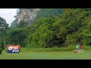 ช้างป่า หางด้วนงากุดหิวโซบุกรีสอร์ต l ตลาดข่าว l 15 ส.ค.60