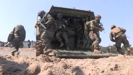 올해 한미훈련 내주 발표...기간·규모 축소 / YTN