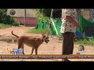 คนงานเมียนมาโหด เชือดหมาแกล้มเหล้า l เมืองไทยไก่โห่ l 24 ส.ค. 60