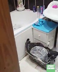 Quand tu es fan de peche, même dans ton bain