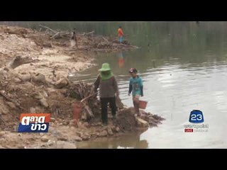ชาวบ้านแห่จับปลา นับร้อยตัวหลังลอยตายเกลื่อน l ตลาดข่าว l 21 ส.ค. 60