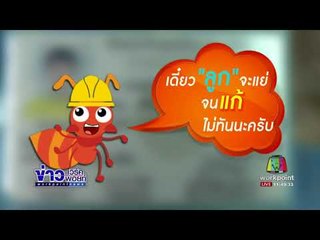 มดสร้างเมือง ตอนขอมีบัตรปชช+ปลูกป่า  | ข่าวเวิร์คพอยท์ | 24 สค 60