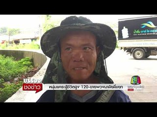 หนุ่มแคระสู้ชีวิตสูงเพียง 120 ซม  ขายพวงมาลัยตามสี่แยก l บรรจงชงข่าว l 29 ส.ค.60