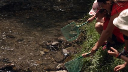 Ecrins de nature teaser génerique