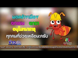 มดสร้างเมือง ตอน  เจอแม่ + ถนนเละ | ข่าวเวิร์คพอยท์ | 30 ส.ค. 60