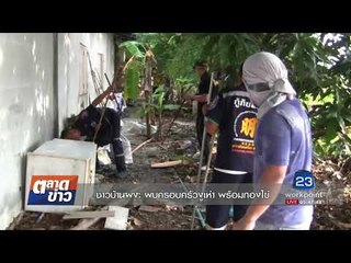 ชาวบ้านผงะ พบครอบครัวงูเห่า พร้อมกองไข่ l ตลาดข่าว l 31 ส.ค. 60