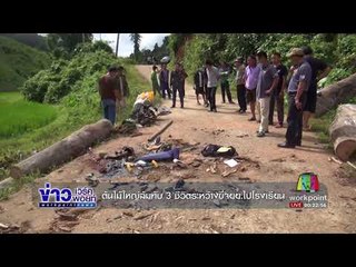 ต้นไม้ใหญ่ล้มทับ 3 ชีวิตระหว่างขี่จยย ไปโรงเรียน l ข่าวเวิร์คพอยท์ ดึก l  6 ก.ย.60