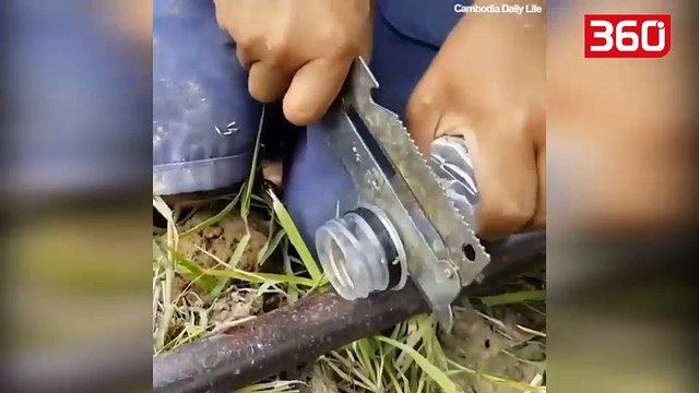 Djali i vogël thyen rrjetin, shikoni sesi arrin të kapë një gjarpër gjigand (360video)