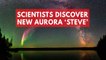 Mysterious new purple aurora named 'Steve' by scientists