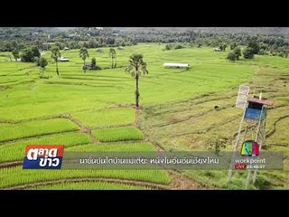 นาขั้นบันไดบ้านแม่เตี๊ยะ หนึ่งในอันซีนเชียงใหม่ | ตลาดข่าว | 22 ก.ย. 60